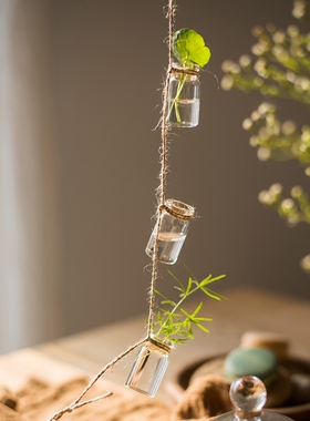 【掬涵】玻璃瓶串装饰水培植物