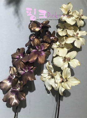 花卉冠顺花艺欧式富贵香港跳舞兰
