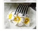 Phụ kiện ảnh đi biển, kẹp tóc frangipani, kẹp tai, lược, lược, phụ kiện tóc, phụ kiện tóc, kẹp tóc, hoa, hoa, phụ nữ - Phụ kiện tóc kẹp càng cua Phụ kiện tóc