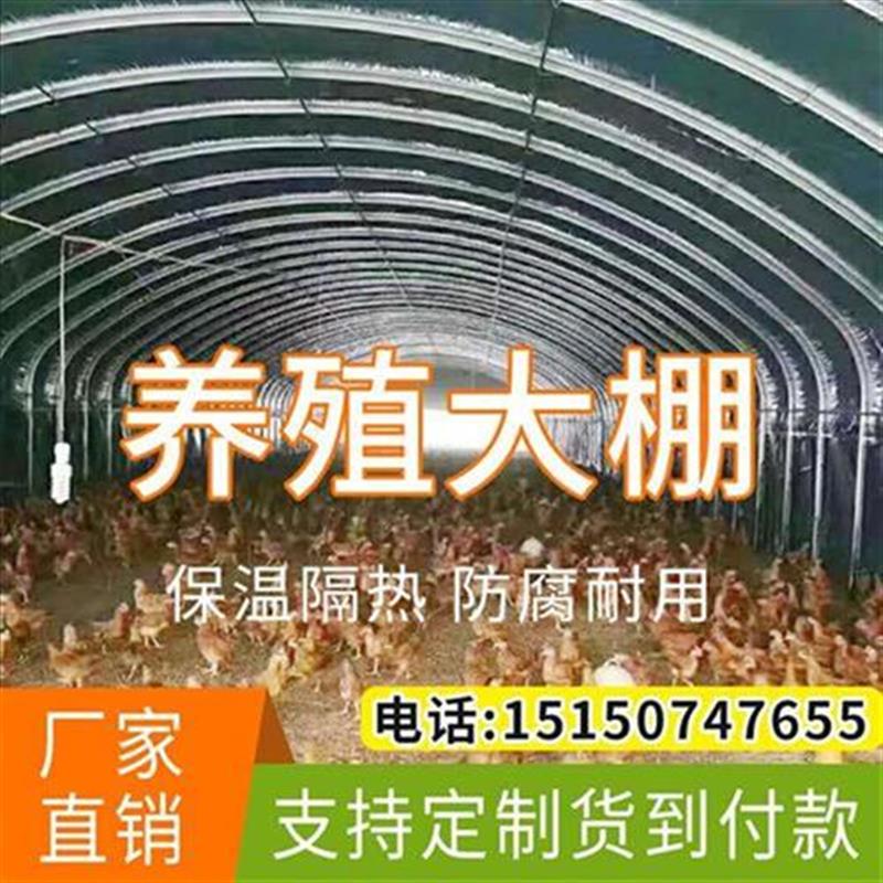 新品管养鸡场h钢管猪舍养殖z全套骨架L搭建保UT温大棚牛羊养猪 - 图0