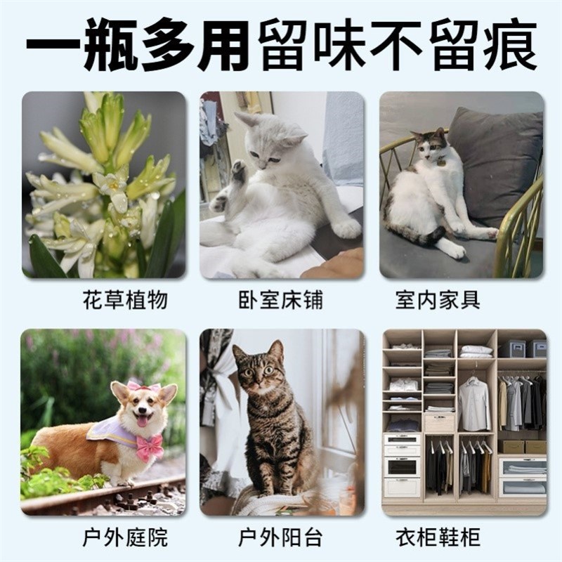 推荐德克帮2号宠物禁区喷剂驱猫神器邦防狗猫乱尿驱赶6号喷雾 - 图2