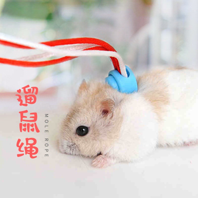 Rabbit Hamster Harness Leaohes OuEtdsor Leads ePt Accessorie - 图1