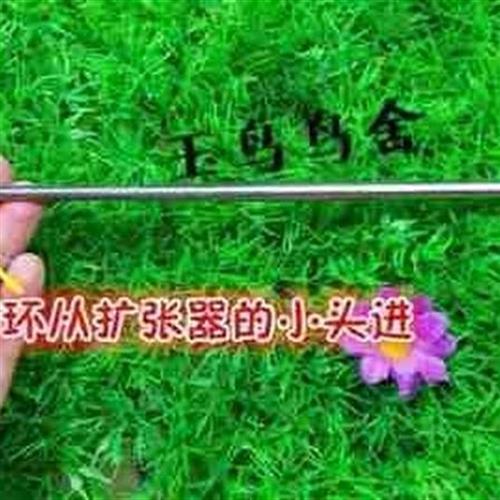 推荐鸟环死口塑料鸟环玉鸟脚环扩张器鸟环12种颜色脚环麻料蜡嘴脚-图3