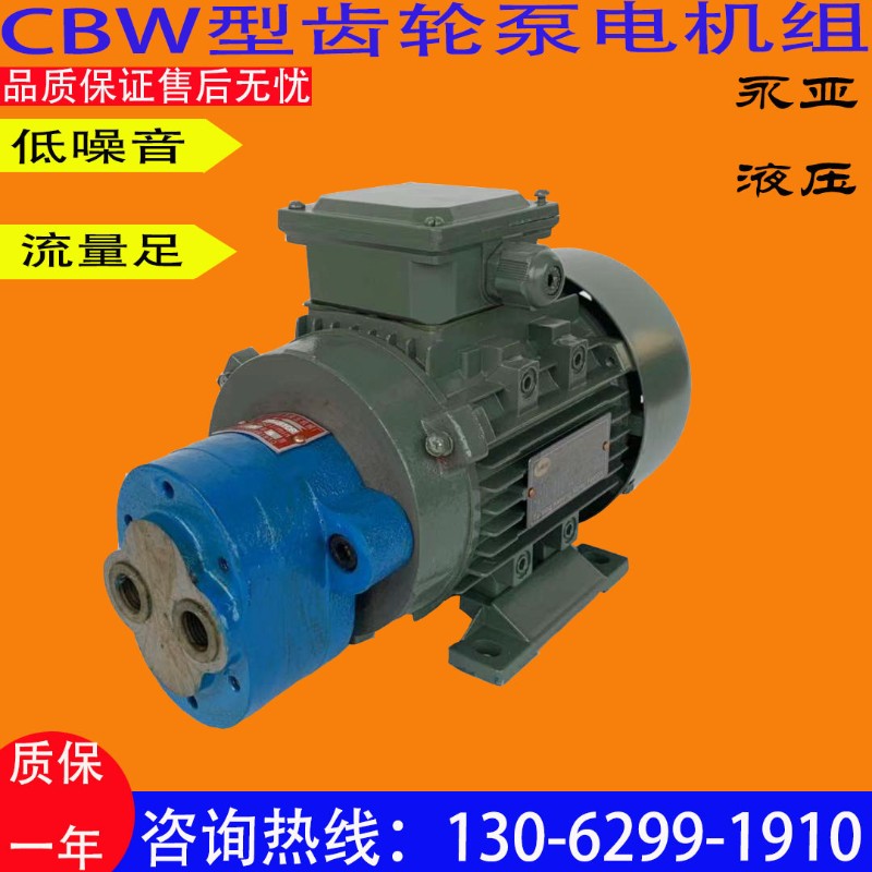 -B2.5JZ/C/-B4JZ/CB-B6JZBCCB-B10JZ6CBW-//CBW-4齿轮油泵电 - 图3