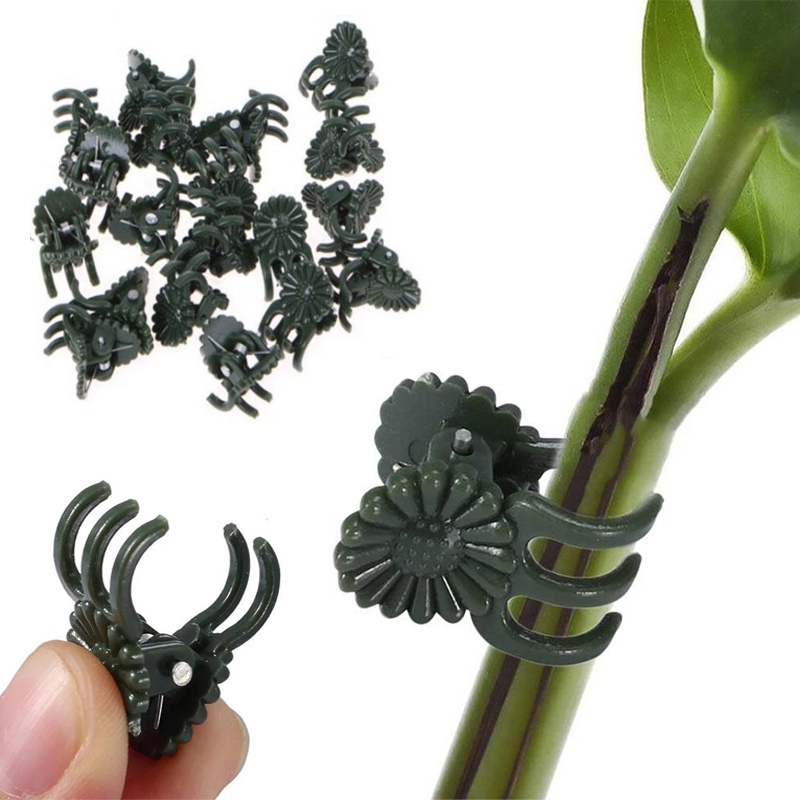 20/50/ 00PCS Plant Clips1Vine Clamp Pnalt Support foXr Graft - 图0