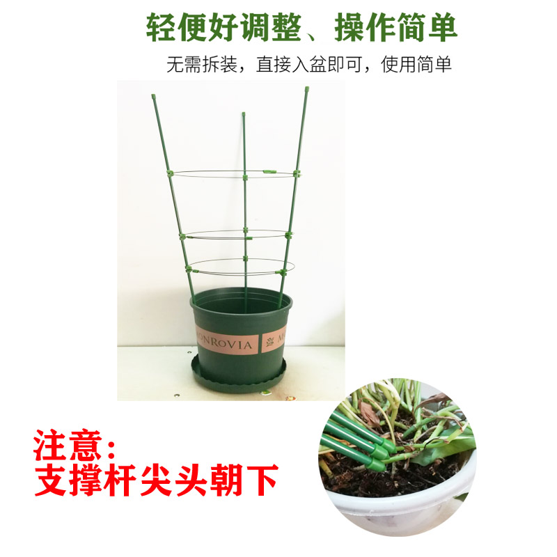 爬藤花架铁艺月季铁线莲番茄百合植物盆栽攀爬防垂家用简易支撑架 - 图2