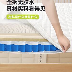 布莱轩尼全拆15cm10薄弹簧床垫家用卧室矮榻榻米记忆棉软硬席梦思