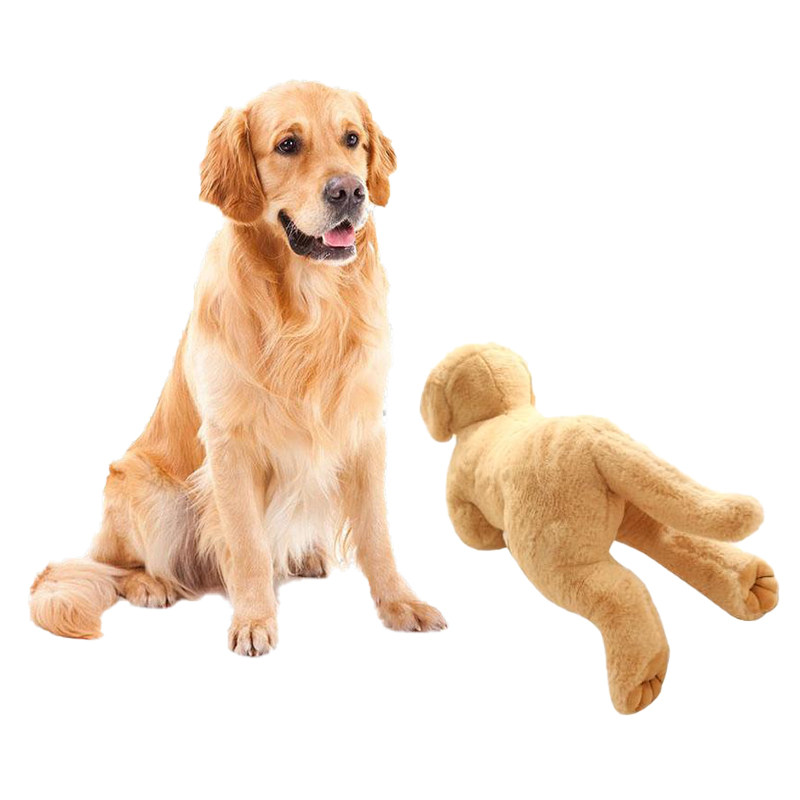 狗泻火玩具公狗泄火耐咬大型犬解闷玩偶伴侣宠物用品狗狗玩具,淘宝优惠券,粉丝福利购,淘宝优惠卷