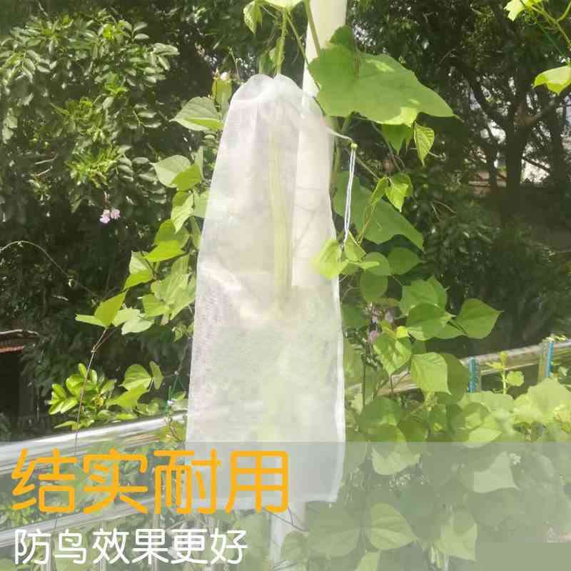 90目瓜果防防虫鸟袋果蝇针蜂套袋尼丝网袋L苦瓜龙瓜南瓜火龙果透 - 图0