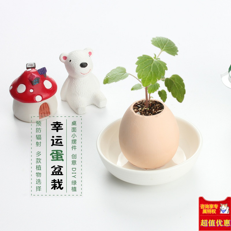 开学招生小礼品61幼儿园节日奖励分享礼物儿童diy手工种圣诞礼品-图3