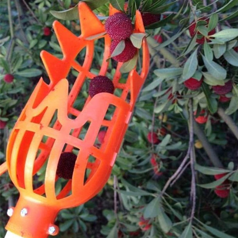 Farming Garden Fruit Picker Tool Gardening Fruits Collection - 图0