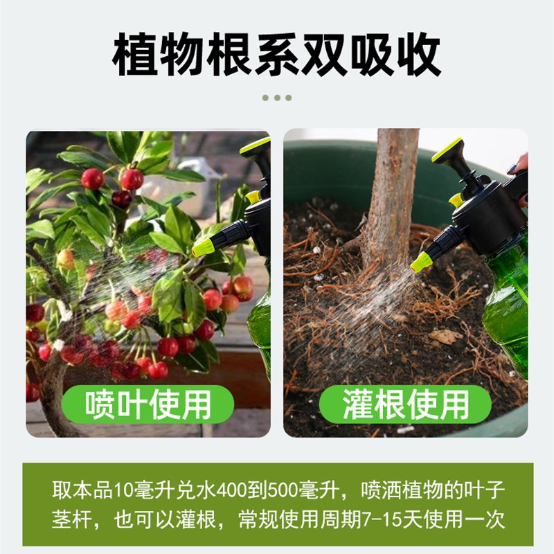 速发樱桃树专用肥樱桃树肥料营养液樱桃车厘子树苗肥料药大樱桃有 - 图3