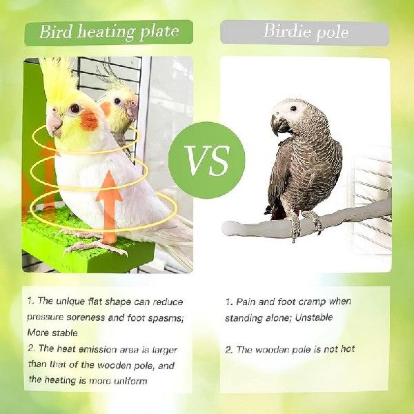 极速Heated Perches For Birds 5W Thermostatic Flat Bird Heate - 图1