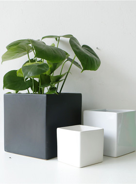 陶瓷花盆简约黑白色正四方形状北欧风格光面直型哑光磨砂绿萝水培