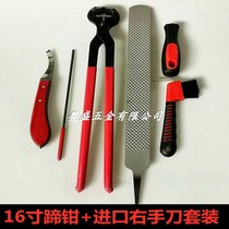 Repair Horseshoe Tools Horseshoe Shovel Import Cut Hooded Pliers Horseshoe Fitter Horseshoe Filing Hoof Horse Furniture equestrian items
