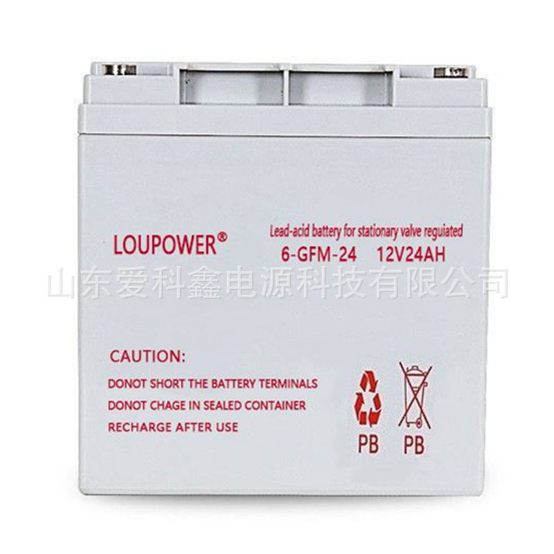 Loupower莱力蓄电池6-GFM-24 12V24AH直流屏UPS应急照明-图0