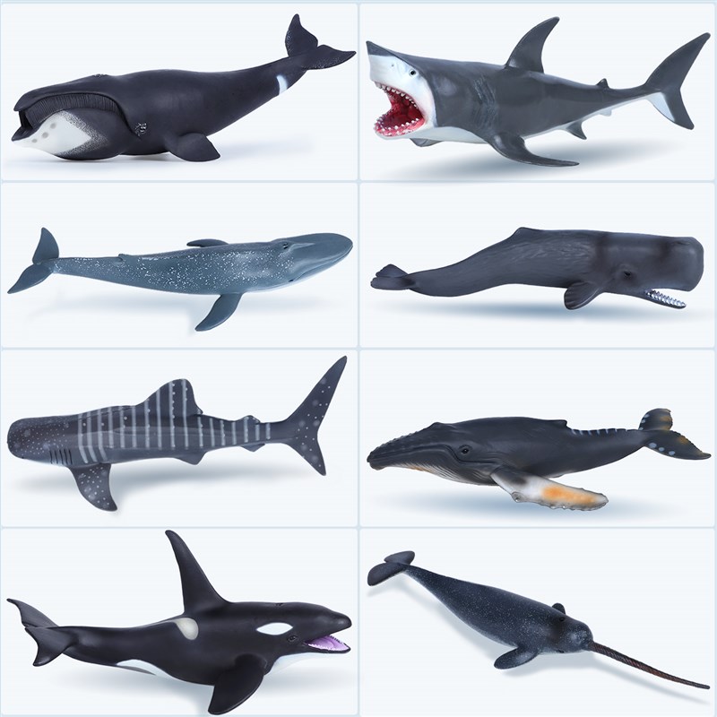 极速Simulation of Marine Life Shark Toy Whale Animal Model - 图0