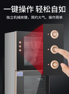 双门立式消毒碗柜红外线高温烘干125º家用厨房餐具碗筷消毒柜