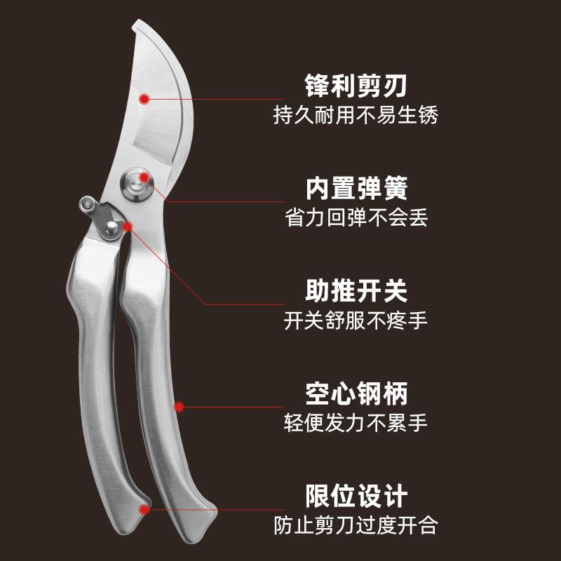 速发园艺剪枝剪刀修枝剪不锈钢果树园林树枝盆景修剪造型专用剪子 - 图1