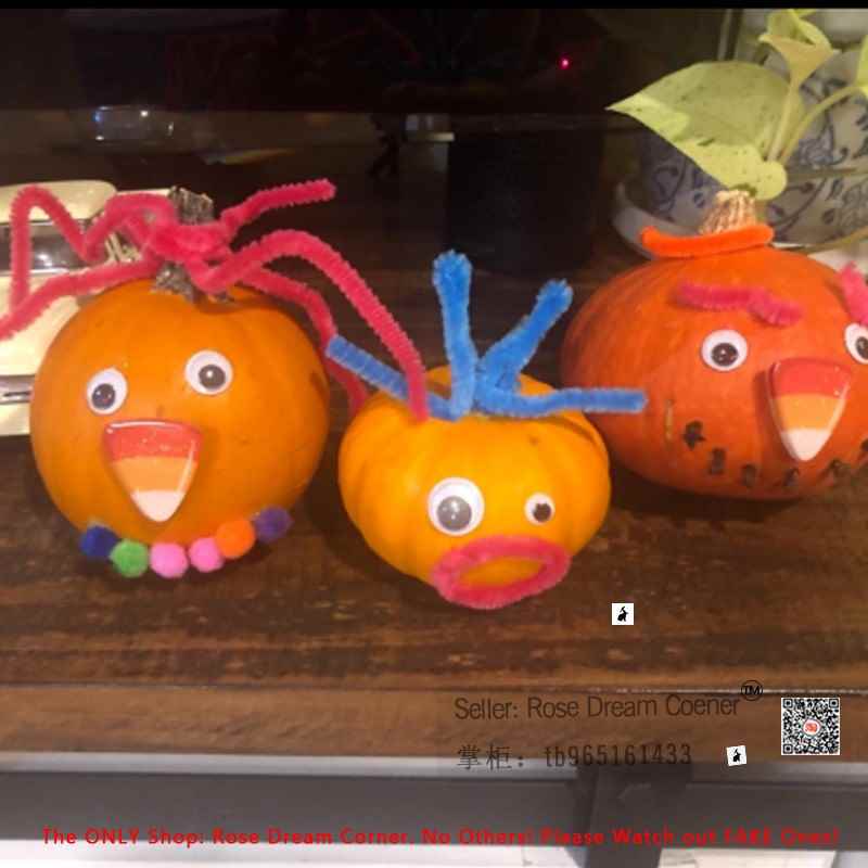 速发Pipe Cleaners Pom Poms Wiggle Googly Eyes Kids  Craft Ki - 图1