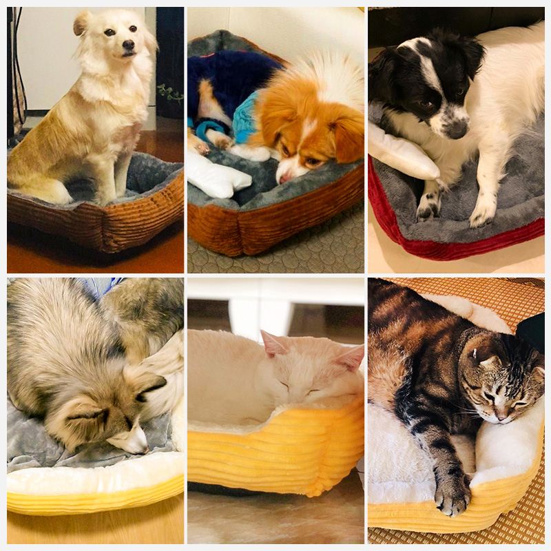 seion Cat House Pht-Beds Sleeping-Sofa DoQgs CaB-Mat te - 图3