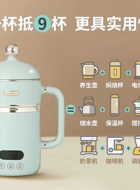 养生杯小型办公室炖煮杯烧水杯节日礼物生日女生送女友宿舍煮花茶