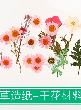 现货压花diy古法造纸术干花材料包幼儿园儿童手工花草真花植物标