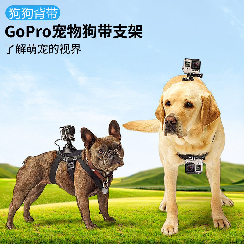 GoPro配件宠物背带第一人称视角拍摄固定支架狗猫咪视角相机配件-图0