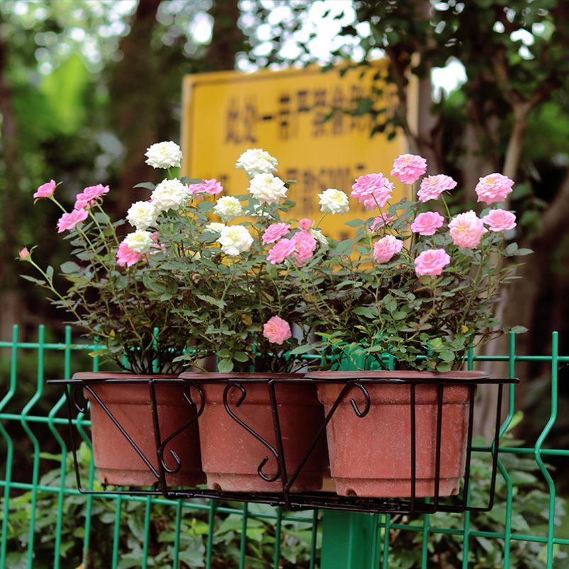 花蓝花盆阳台花架窗外支架挂在窗户上的盆栽防盗窗带挂钩防盗网 - 图1