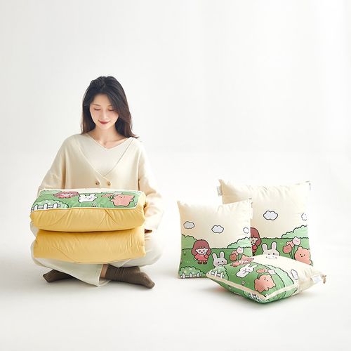 两用抱枕被卡通四季汽车沙发宿舍靠垫枕头被午休空调被二合一办公 - 图2