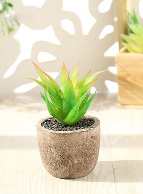 现货创意仿真多肉植物盆栽仙人掌假花绿植摆设办公室桌面装饰摆件