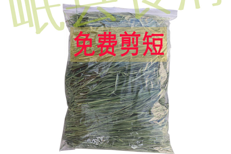 23年新烘干提摩西草岷县食府北提兔子龙猫荷兰猪牧草兔粮500g包邮 - 图0