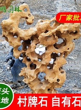 散置园林景观设计开启居家美学新篇章个性化艺术 太湖石假山