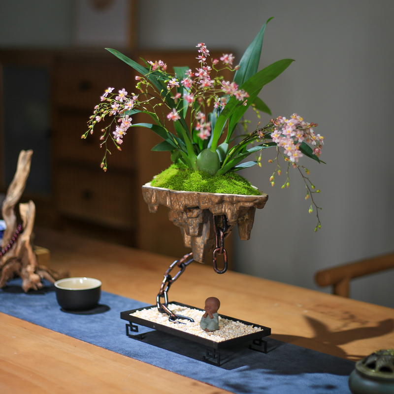 文心兰带花苞梦香兰办q公室绿植盆景球型植物兰花盆栽花卉室内花-图0