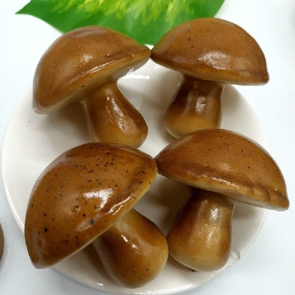 20pMs Aruificial Mtsshroom could Mold 5 Types Mushroom - 图2