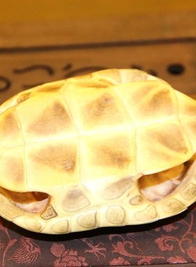 易经学习工具初学者入门六十四64卦详解摇卦起卦乌龟壳送铜钱礼品