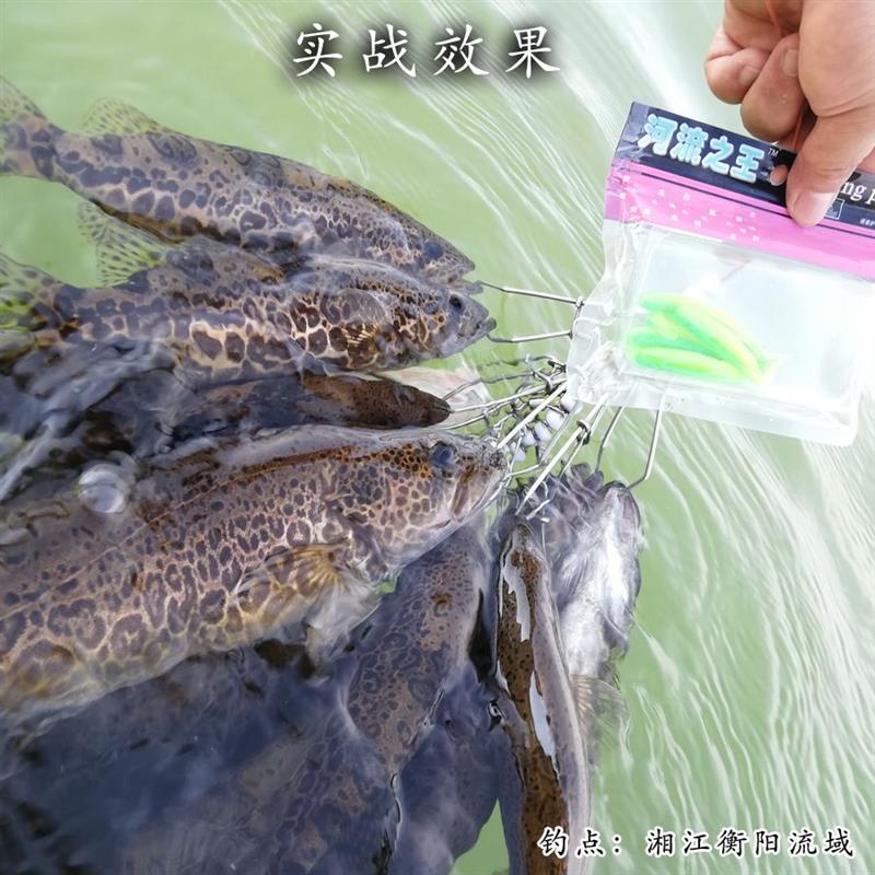 河流之王路淡水饵t尾鱼铅头钩软虫加盐加腥味海水亚软鲈鱼鳜鱼饵 - 图2