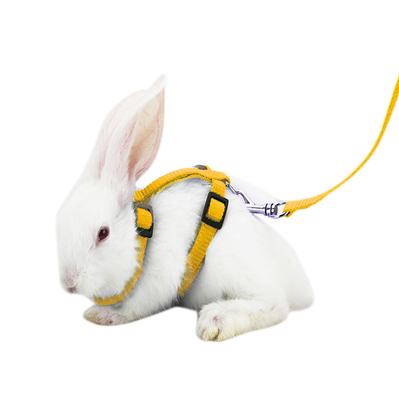 all PNt Rabbit Harness heasL Soft eylon RunUning/Walki - 图1