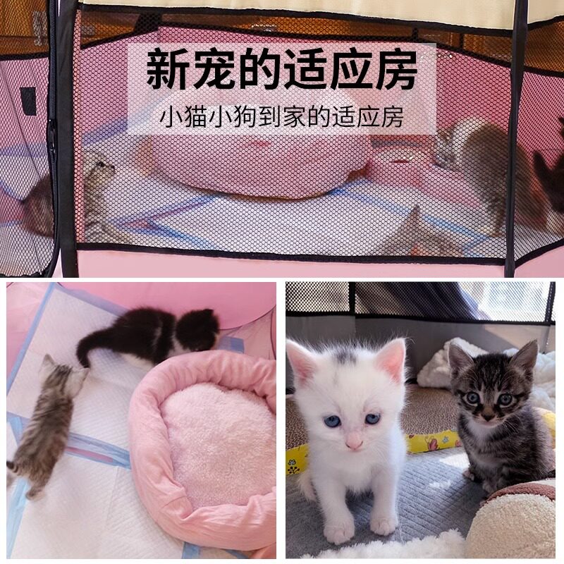 猫产房怀孕待产猫窝生产生育封闭式帐篷繁殖待产箱狗窝狗产房,淘宝优惠券,粉丝福利购,淘宝优惠卷