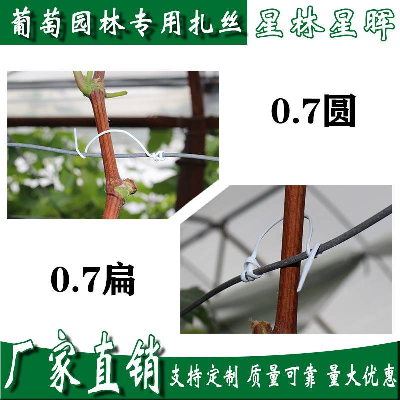 扎丝无花果农业绑可捆绑奇异果O枝用扎线园林复萄反葡使丝园艺条-图0