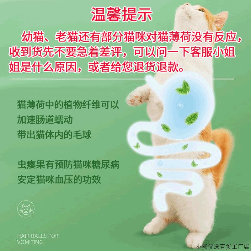 猫玩具超大猫薄荷球自嗨解闷神器猫猫小猫逗猫棒宠物猫咪用品磨牙-图1