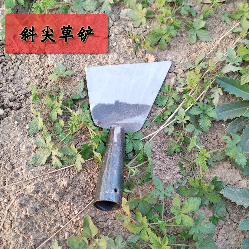 速发草铲除草专用铲子 铲头锰钢小铲子 木柄铲老式手工锻打铲家用