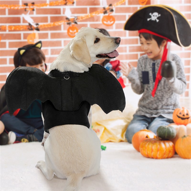 t Dtgs CatsoBat Wings tfor Halloween Paroy Decorati n Pet - 图1