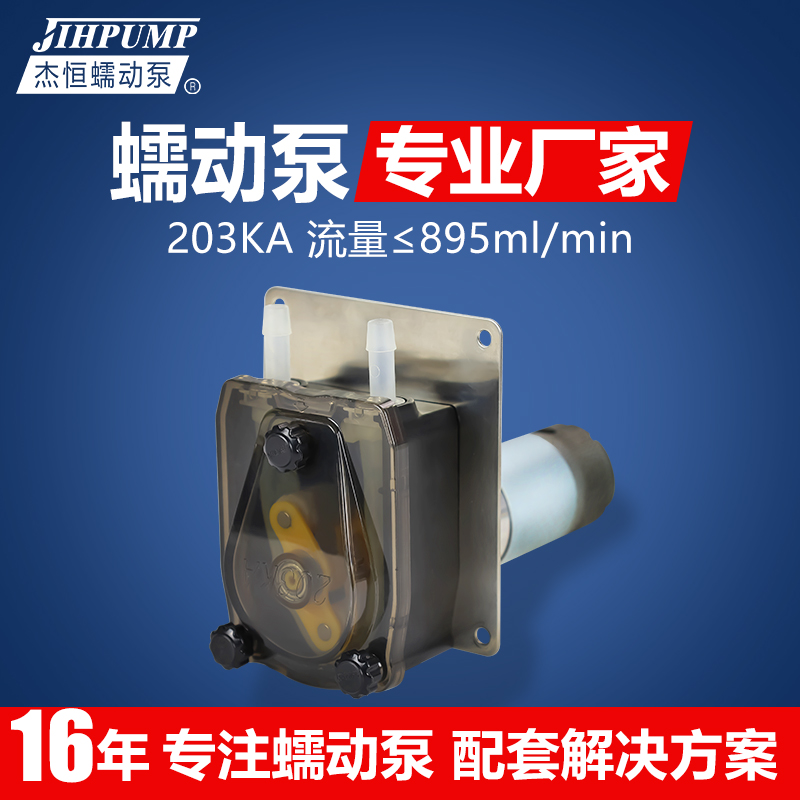 203泵A计量蠕动K小流量抽u水型小泵直流12V 24V清洗机抽糖浆泵 - 图0