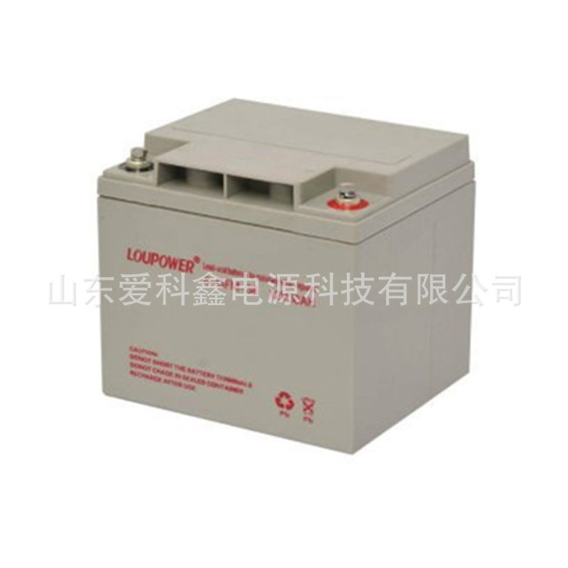 Loupower莱力蓄电池6-GFM-24 12V24AH直流屏UPS应急照明-图1