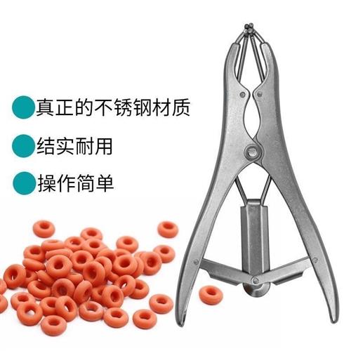 极速厂家羊断尾圈断尾钳不锈钢扩张钳羔羊断尾皮筋无血兽用小羊剪 - 图2