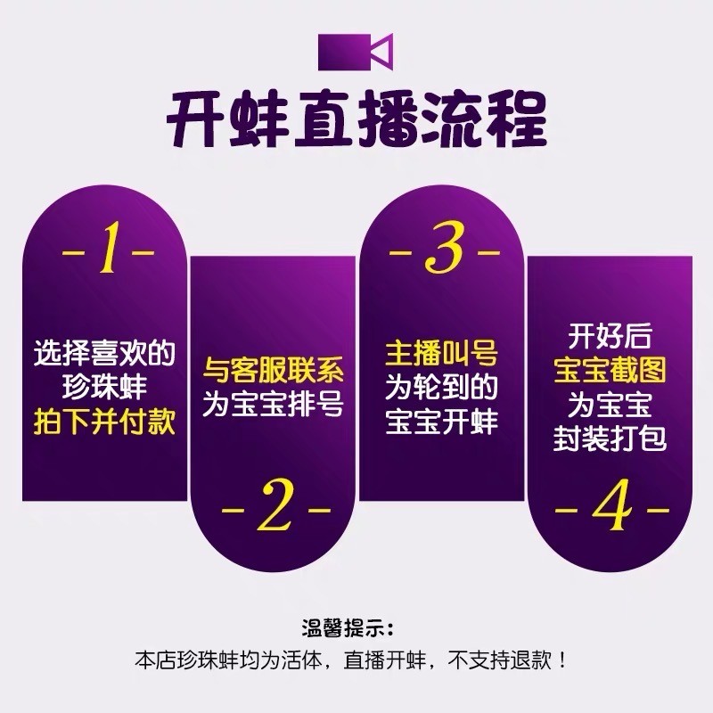 福利单珠蚌一蚌一珠天然珍珠直播活体开蚌取珍珠鲜活珍珠蚌定制-图2