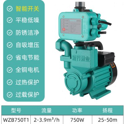 水销水泵家用增压自吸泵220v高扬程厂井抽水塔自来加管道水压38品 - 图0