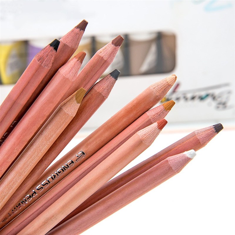 12Pcs Wood Pastel Pencil Set Basis Skin Pastel Color Pencil - 图2