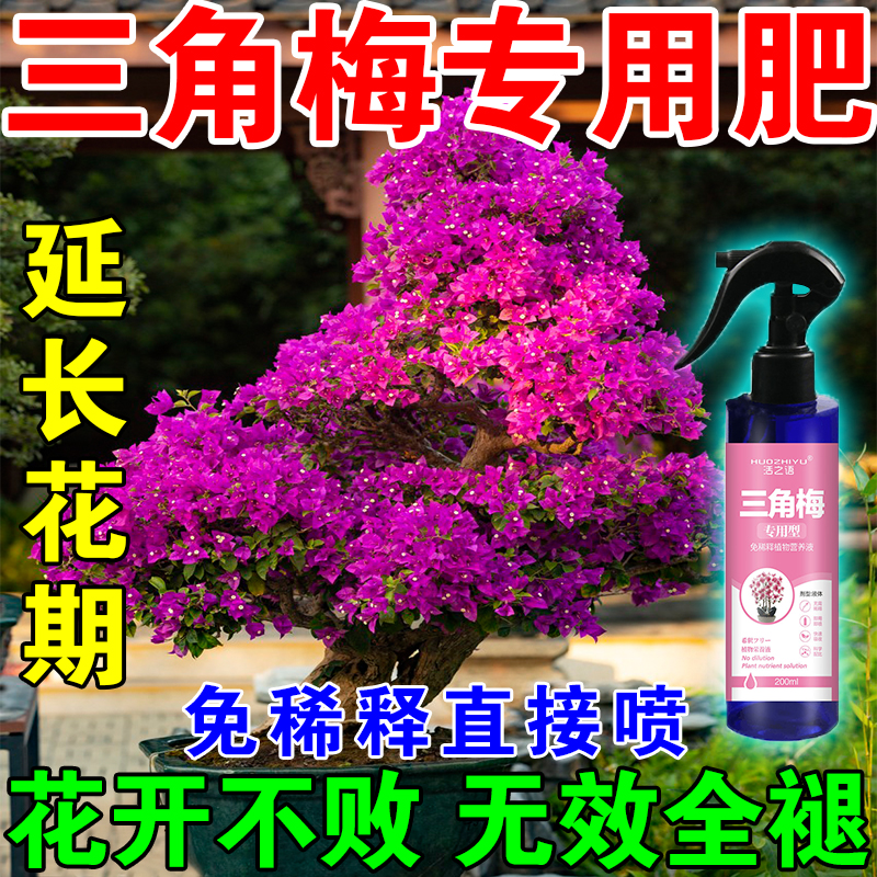 推荐三角梅开花专用肥料花促爆冒花素开花素三角梅不开花怎么办营